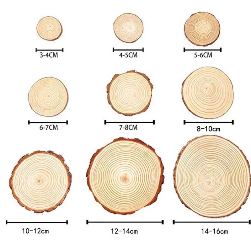 Natural Pine Wood Slices with Bark – 3–16CM Unfinished Round Log Discs (1–10pcs)