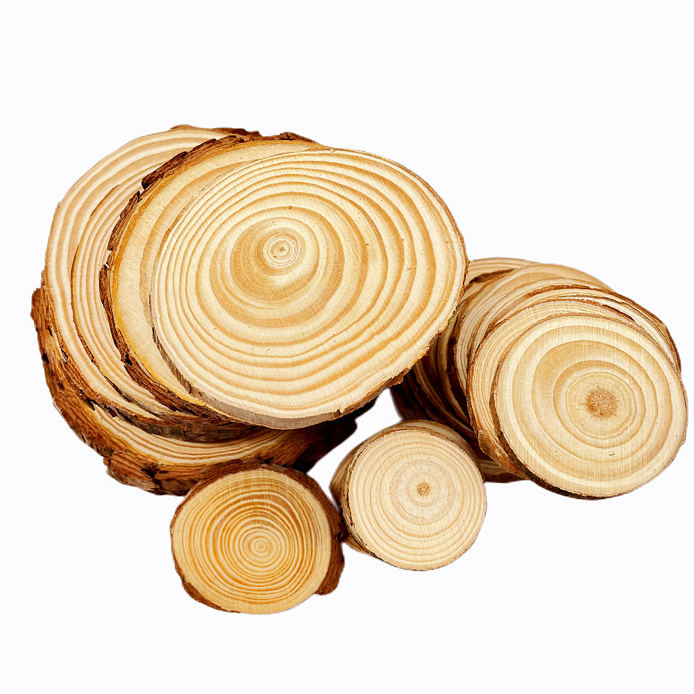 Natural Pine Wood Slices – DIY Craft & Wedding Decor