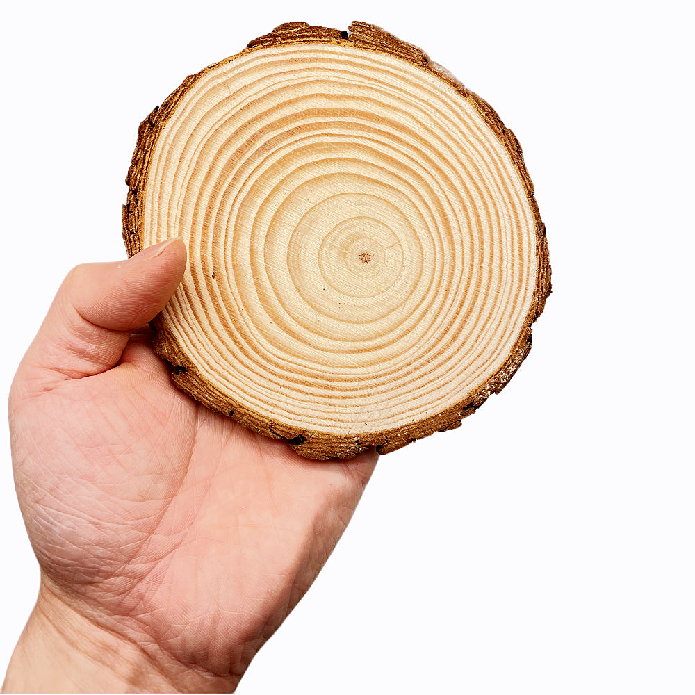 Natural Pine Wood Slices – DIY Craft & Wedding Decor
