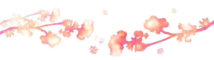 #5 Nylon Zipper Sliders – Replacement Pullers for Bags, Jackets & Sewing Repair (10/30PCS)